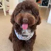 puppaliciousbella