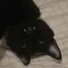 luci_fer_cat