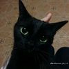pixxymoon