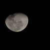 judacha_15161718