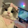 ayyashop1