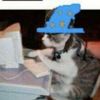 wizard_bum65