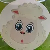 oshmetochki