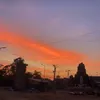 khongcotten71
