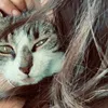 grace.cat1