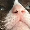 jj__545
