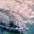 arwa_804