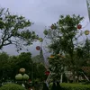 rmdn____