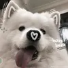embecutih