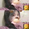 viviowwcutties