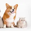 cia_pet