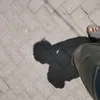 slowbroo_1