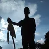 xx_clipes