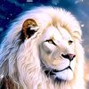 ahmad_anaswa