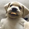 alex_201erz