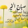alaaoil4