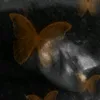 i..am..a..ghost_