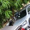 alissonandrerocha1