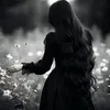 zee.dar