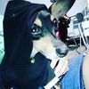 anyzuleygordillo