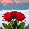 princesse.fati_du02