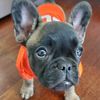 caneswin5