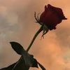 4ever_always19
