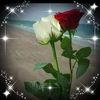 lienlien0378