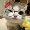 sweettsa