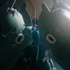ppgn001