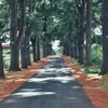 langtuphonui.com