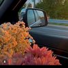 najma_sandhere