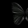 _itspearls