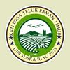 kkn.telukpamantimur2025