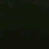 zzaack_19