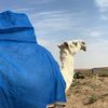 راعي رمانه |ABDUIIAH🐆