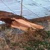 fragilistico9999