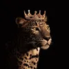 shayan_bag33