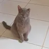 precioso49
