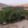 houcin321