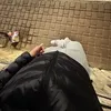_ppiopio_