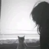 .lld.2