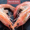 เป็นนิรันดร์ อาหงา