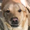 zogzogzogz