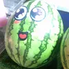 dfartp