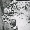 _katya.7.0.7_