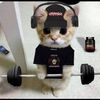 noamlifting1212
