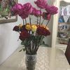 zhanat0011