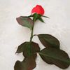 rza_02222