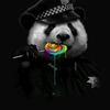 pedya_01
